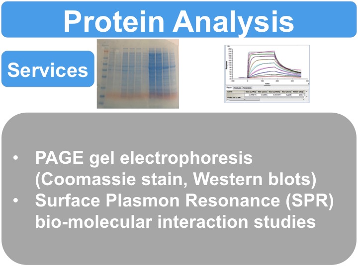Slide 1