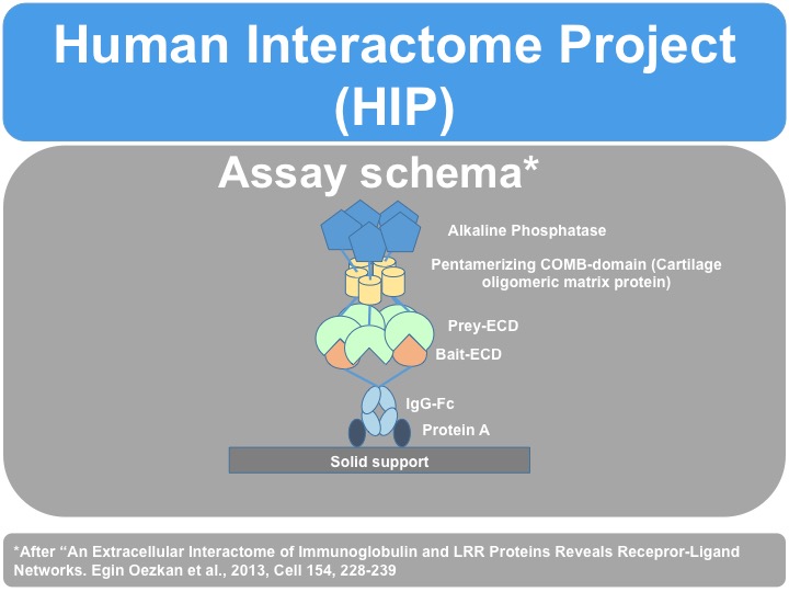 Slide 1
