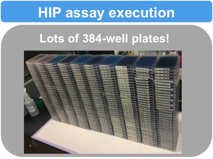 Slide 3
