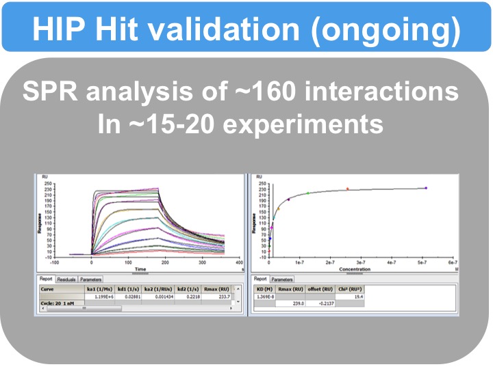 Slide 6